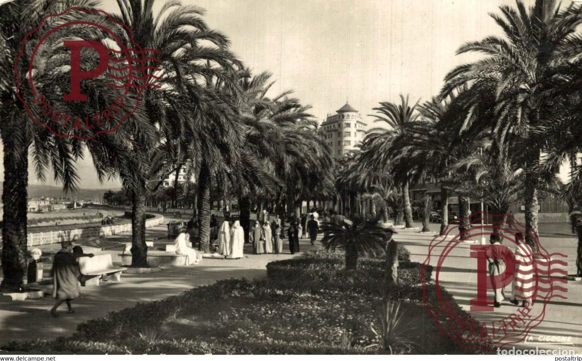 Postkarten: FOTOPOSTAL TANGER LAVENUE DESPAGNE MARUECOS MAROC