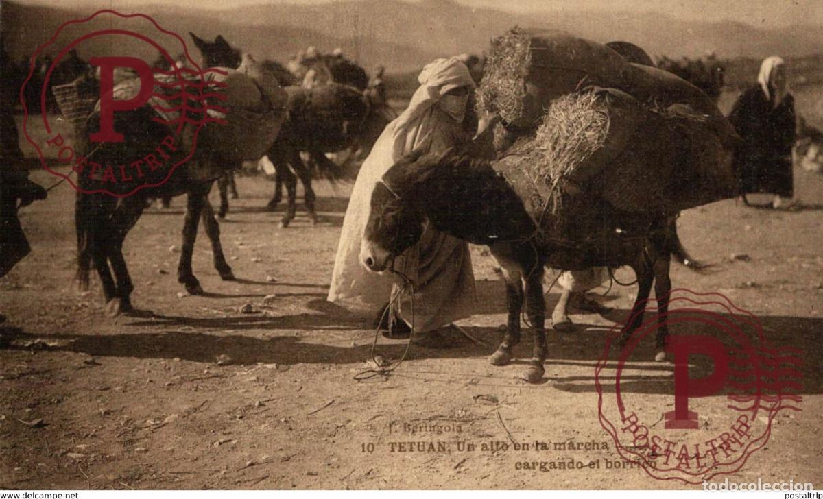 Cartes Postales: TETUAN UN ALTO EN LA MARCHA CARGANDO EL BORRICO MARUECOS MAROC