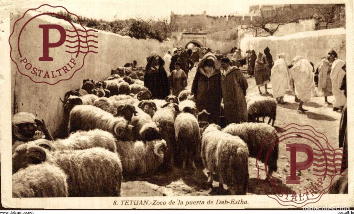 Cartes Postales: TETUAN-ZOCO DE LA PUERTA DE DAB ESTHA-ROISIN MARUECOS MAROC