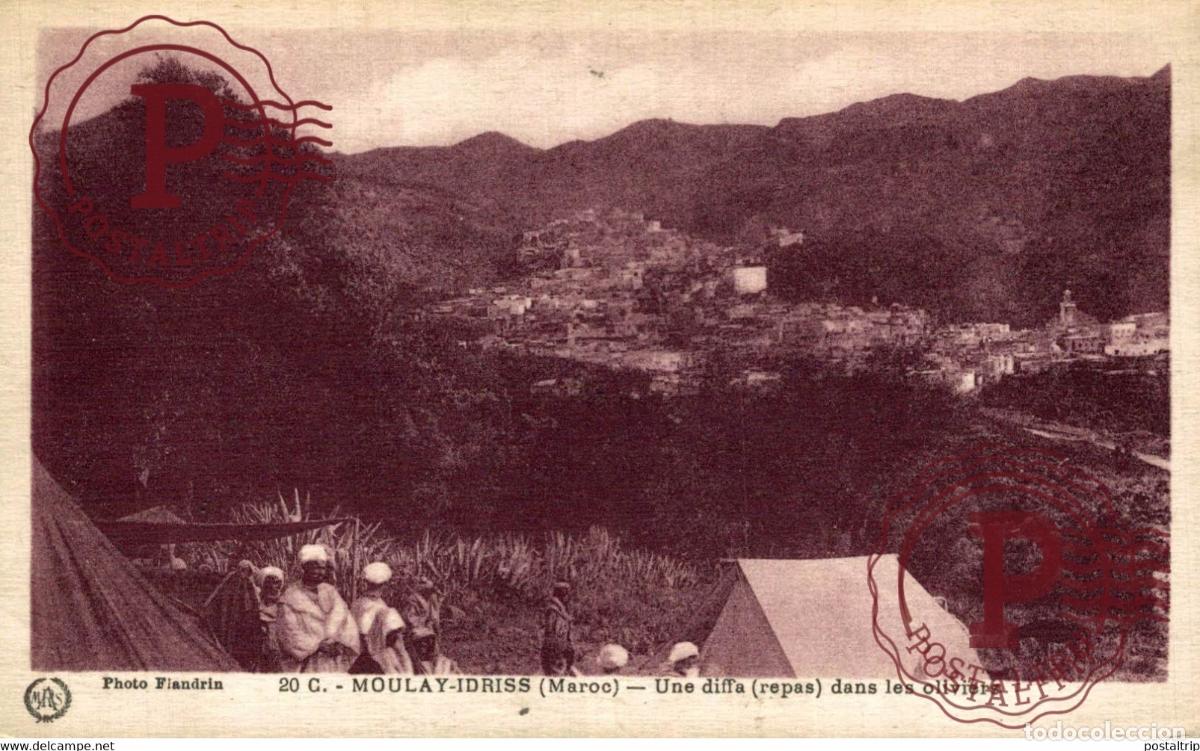 Postales: MOULAY IDRISS - Une Diffa dans les Oliviers MAROCCO MARRUECOS MAROC