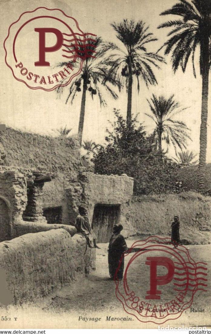 Cartes Postales: PAYSAGE MAROCAIN MAROC MARRUECOS
