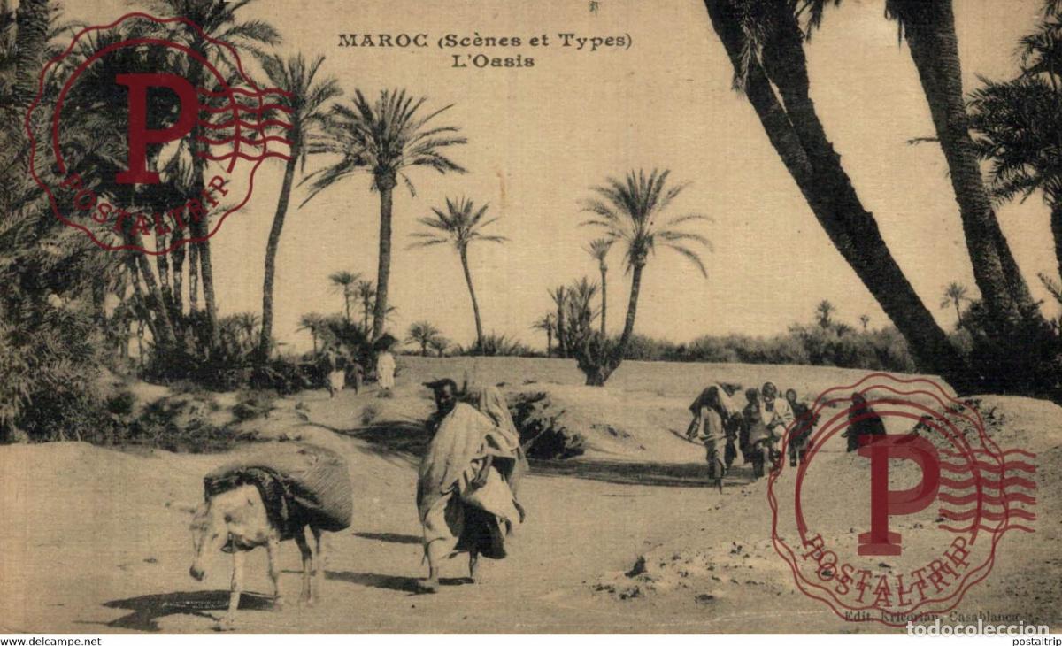 Postales: MAROC LOASIS MAROC MARRUECOS