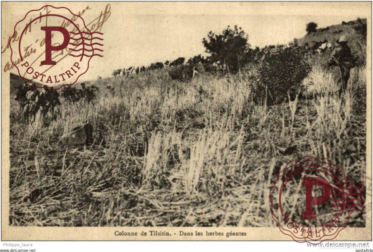 Postales: MAROC.COLONNE DE TILSITIN.DANS LES HERBES GEANTES.CACHET MILITAIRE GUERRA WAR GUERE
