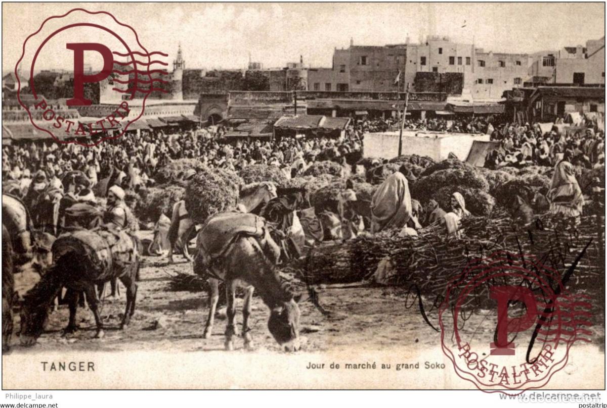 Cartes Postales: Tanger JOUR DE MARCHE AU GRAND SOKO