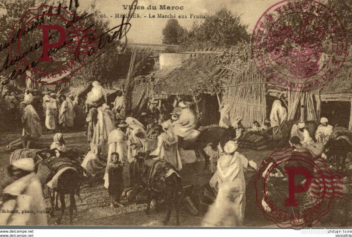 Postales: Maroc CPA Meknes Le marche aux fruits ane donkey mule