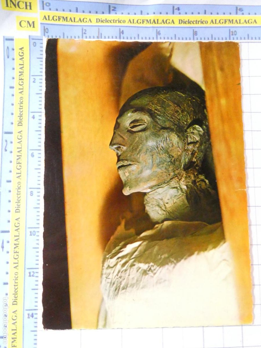 Postales: POSTAL DE EGIPTO. EL CAIRO MUSEO. MOMIA DEL REY SEHTI I. 2579