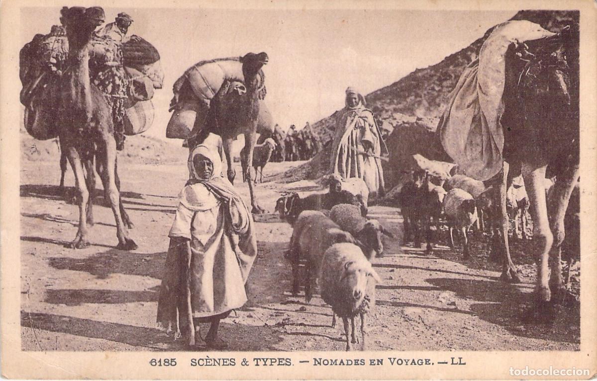 Postales: Postal de N&oacute;madas en Viaje con Camellos y Ovejas, Marruecos