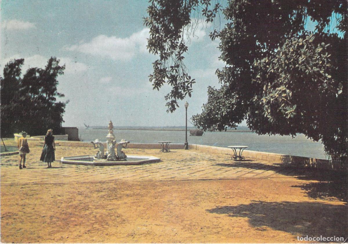 Postales: Postal R&iacute;o Nilo cerca de Helwan Egipto