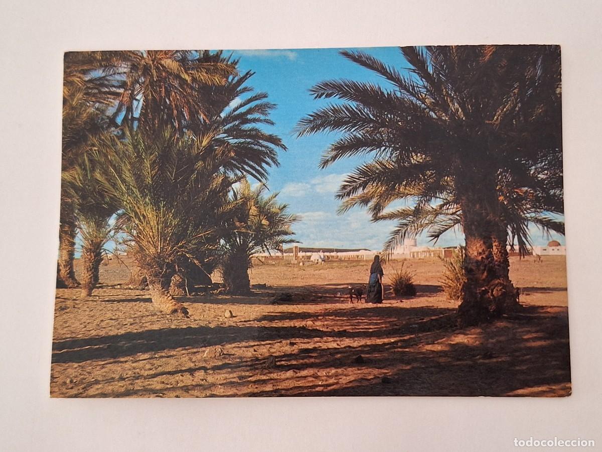 Postales: ANTIGUA POSTAL VISTA DE UN OASIS AFRICA TIPICA RV 2856