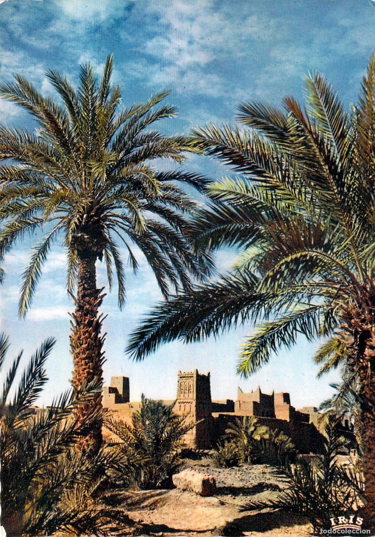 Postales: Postal de Marruecos, Ksar tradicional en el Valle del Draa con Palmeras