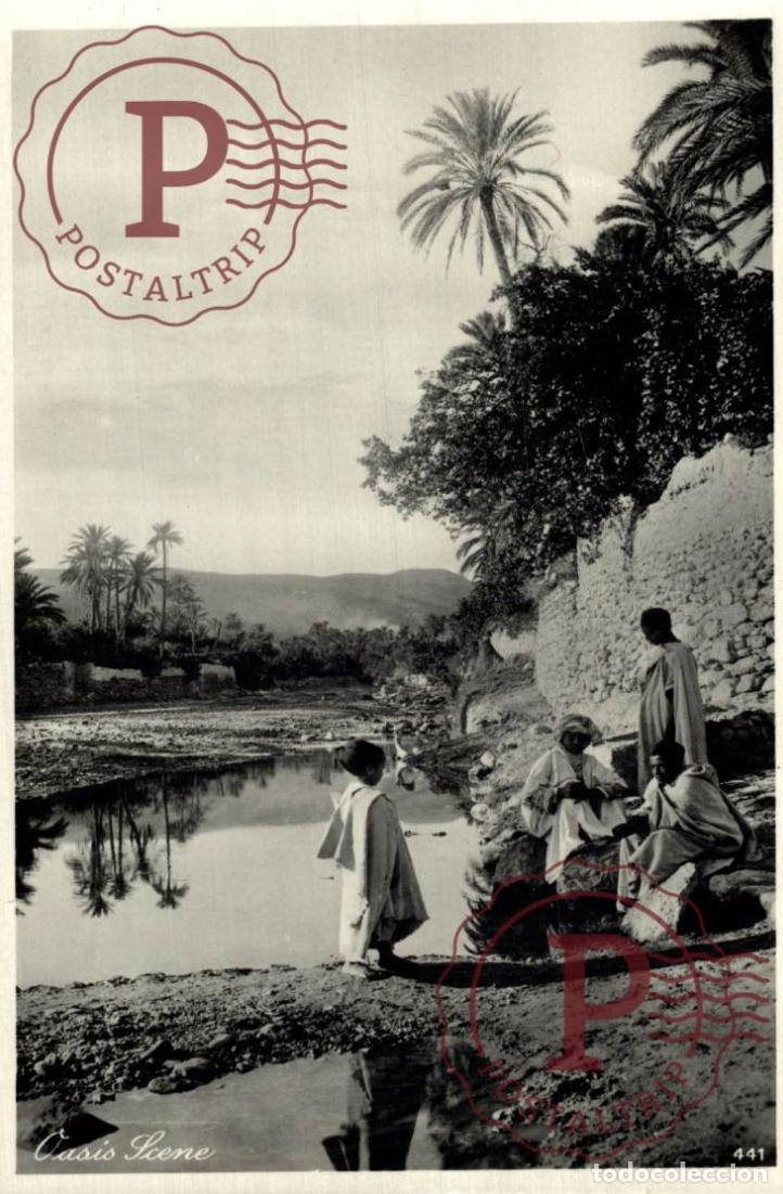 Postales: EGIPTO. Egypt. Egypte. RPPC. OASIS SCENE. FOTOGRAFICA Lehnert & Landrock