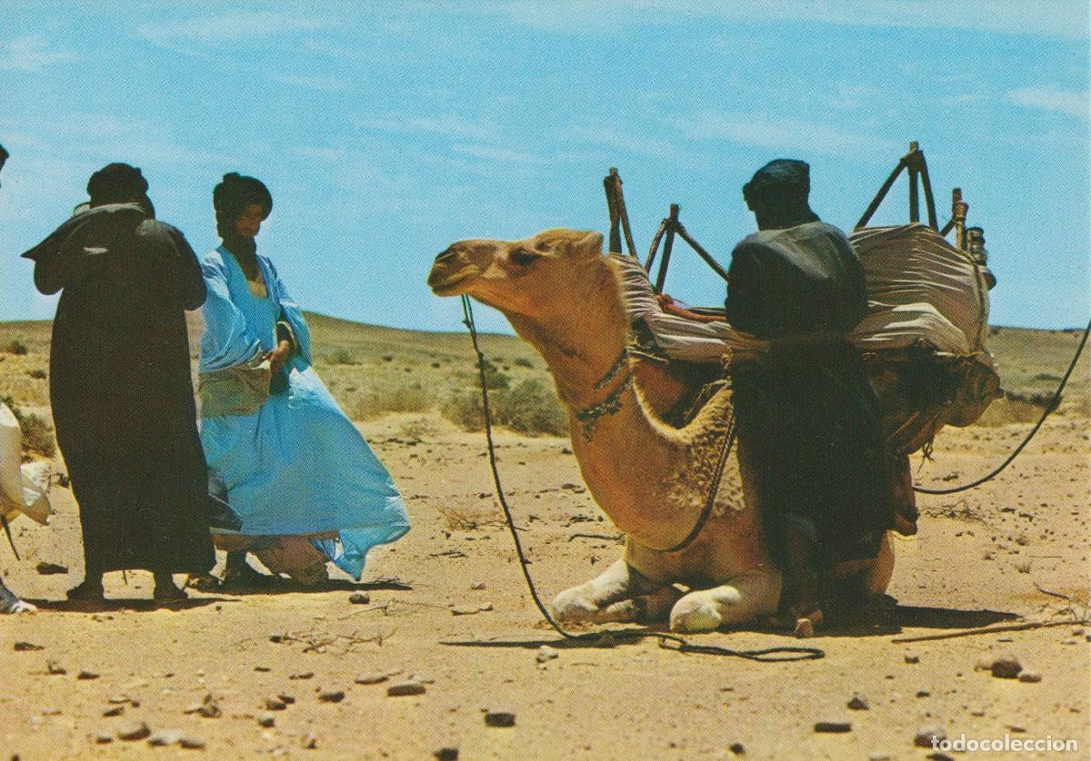 Postales: SAHARA, ALTO EN EL DESIERTO - COLECCION LAS AFORTUNADAS 30046 - S/C