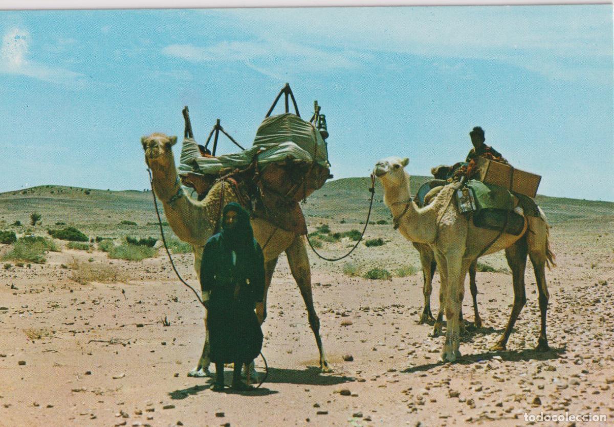 Postales: SAHARA, TRASLADO DE JAIMA - COLECCION LAS AFORTUNADAS 30024 - S/C