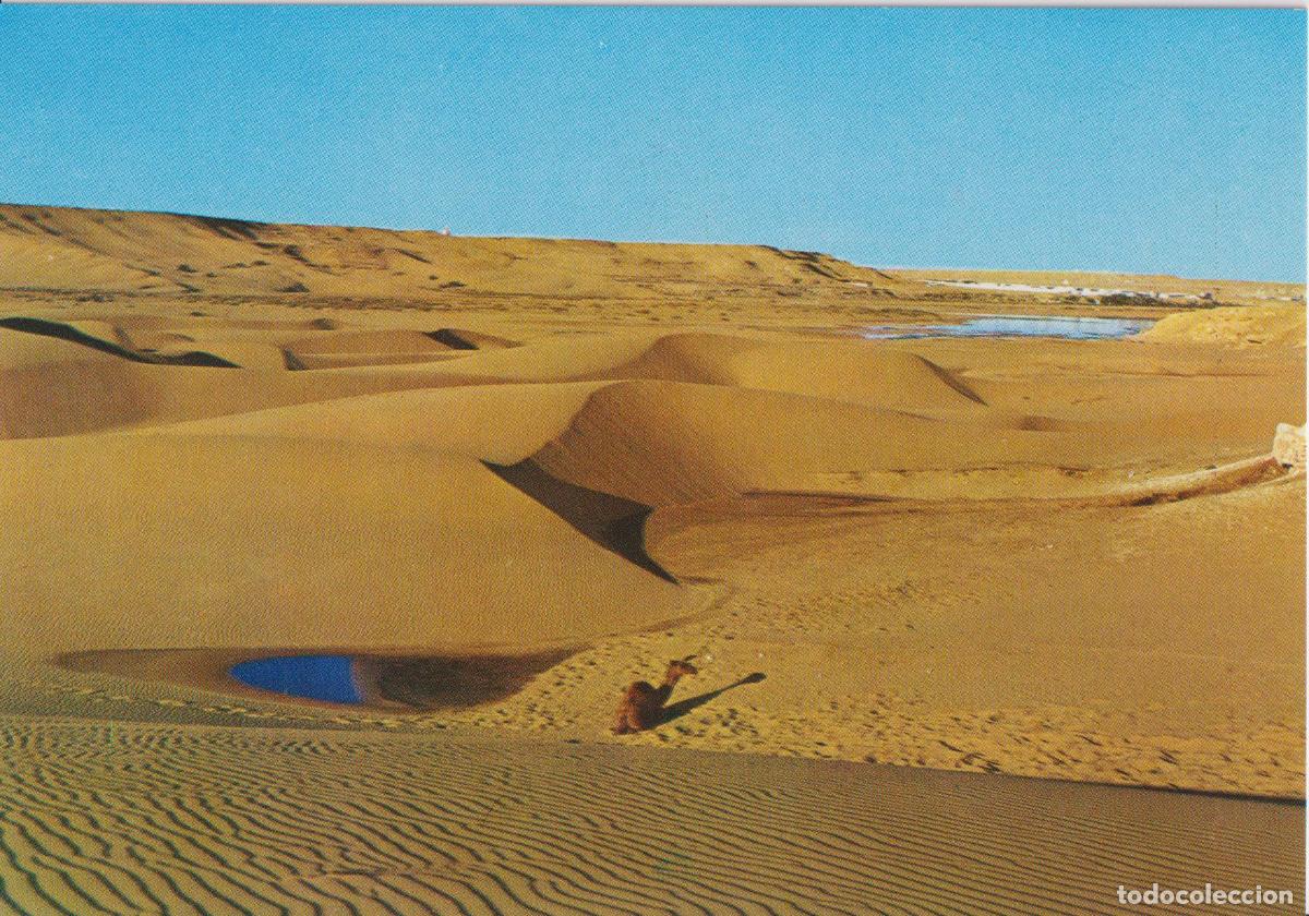 Postales: SAHARA, DUNAS EN LAS SAGUIA - COLECCION LAS AFORTUNADAS 30027 - S/C