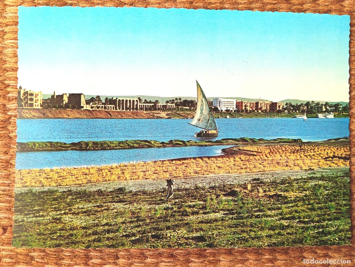 Postales: LUXOR - EGIPTO - VISTA DEL HOTEL WINTER PALACE Y TEMPLO