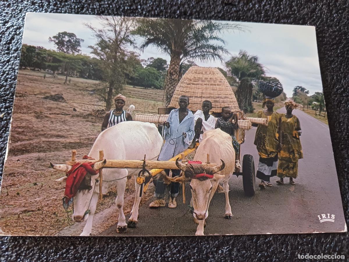 Postales: 8232 afrique en couleurs rencontre sur la route, carro de bueyes, ed. iris