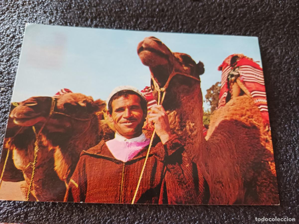 Postales: 510 marruecos tipico, camellero, escrita