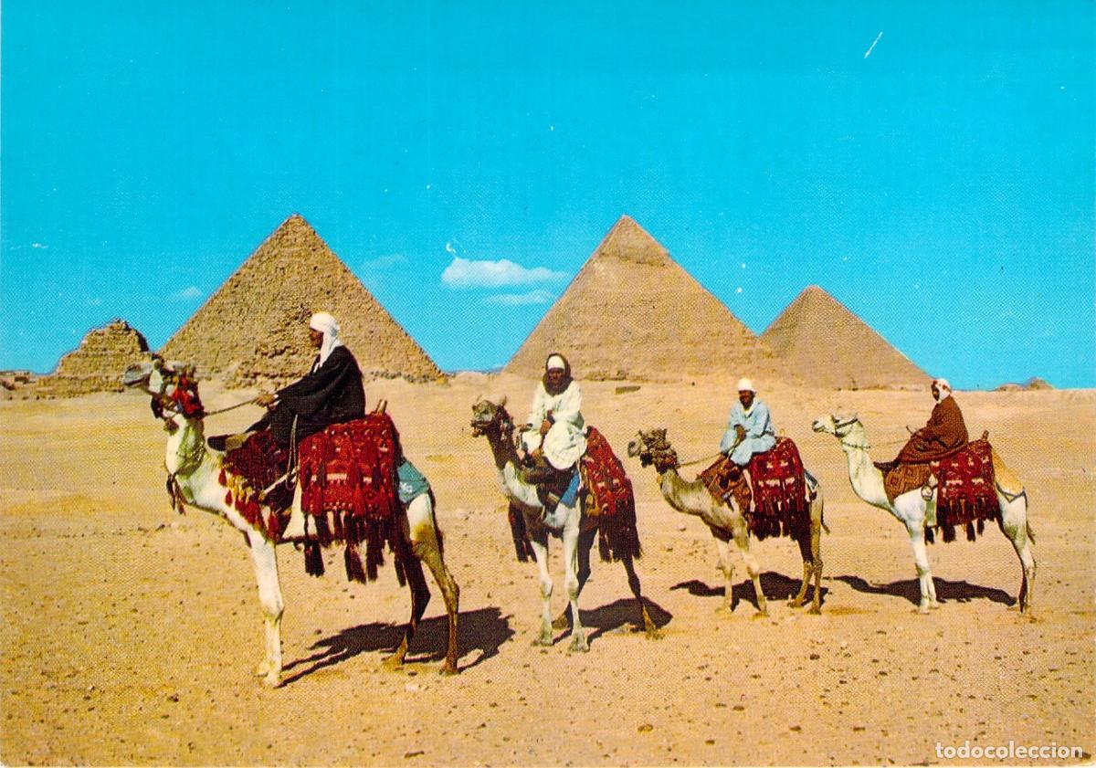 Postales: Postal de Giza Egipto Jinetes en Camello frente a las Pir&aacute;mides