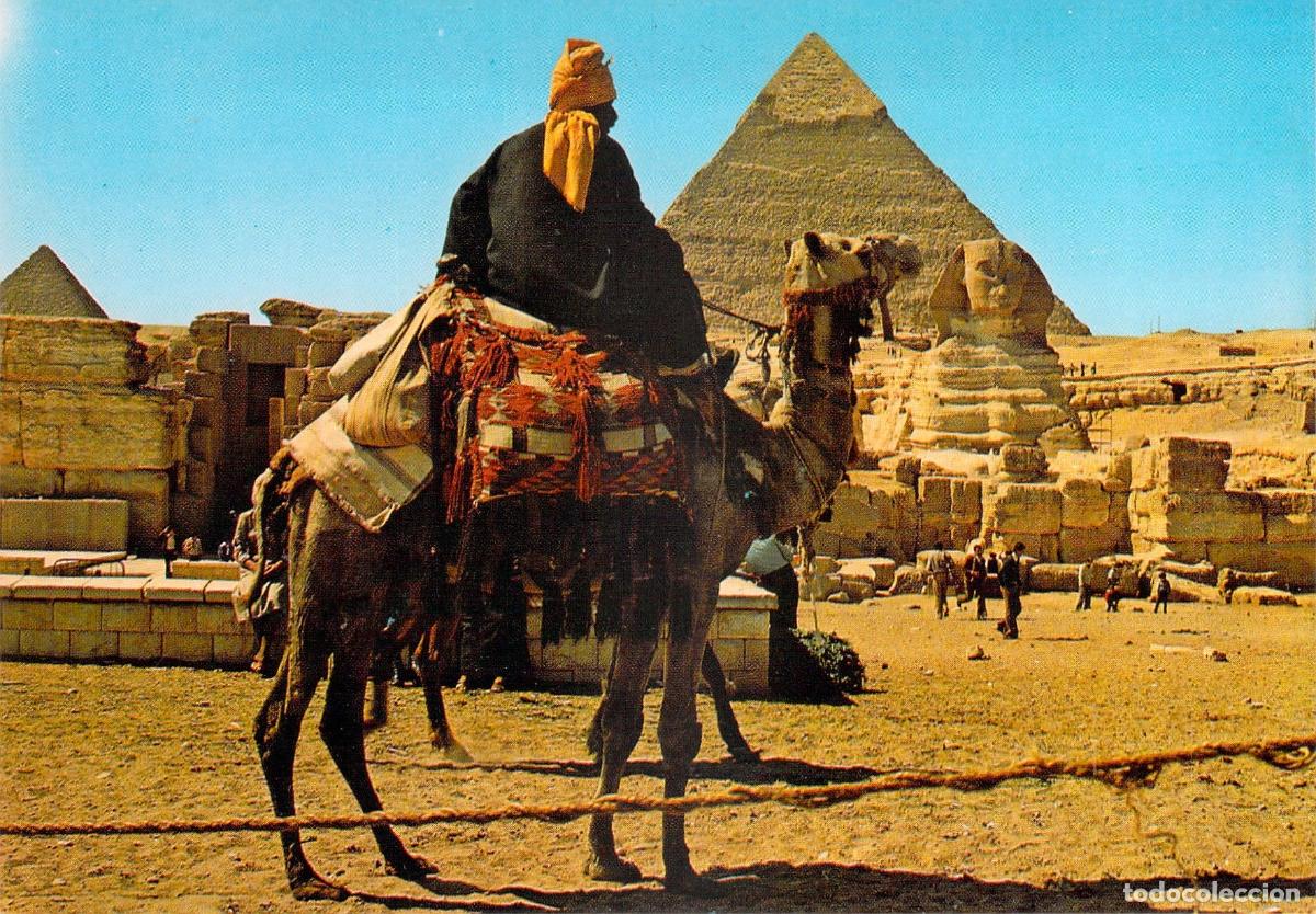 Postales: Postal de Giza con la Gran Esfinge, Pir&aacute;mides y Jinete de Camello