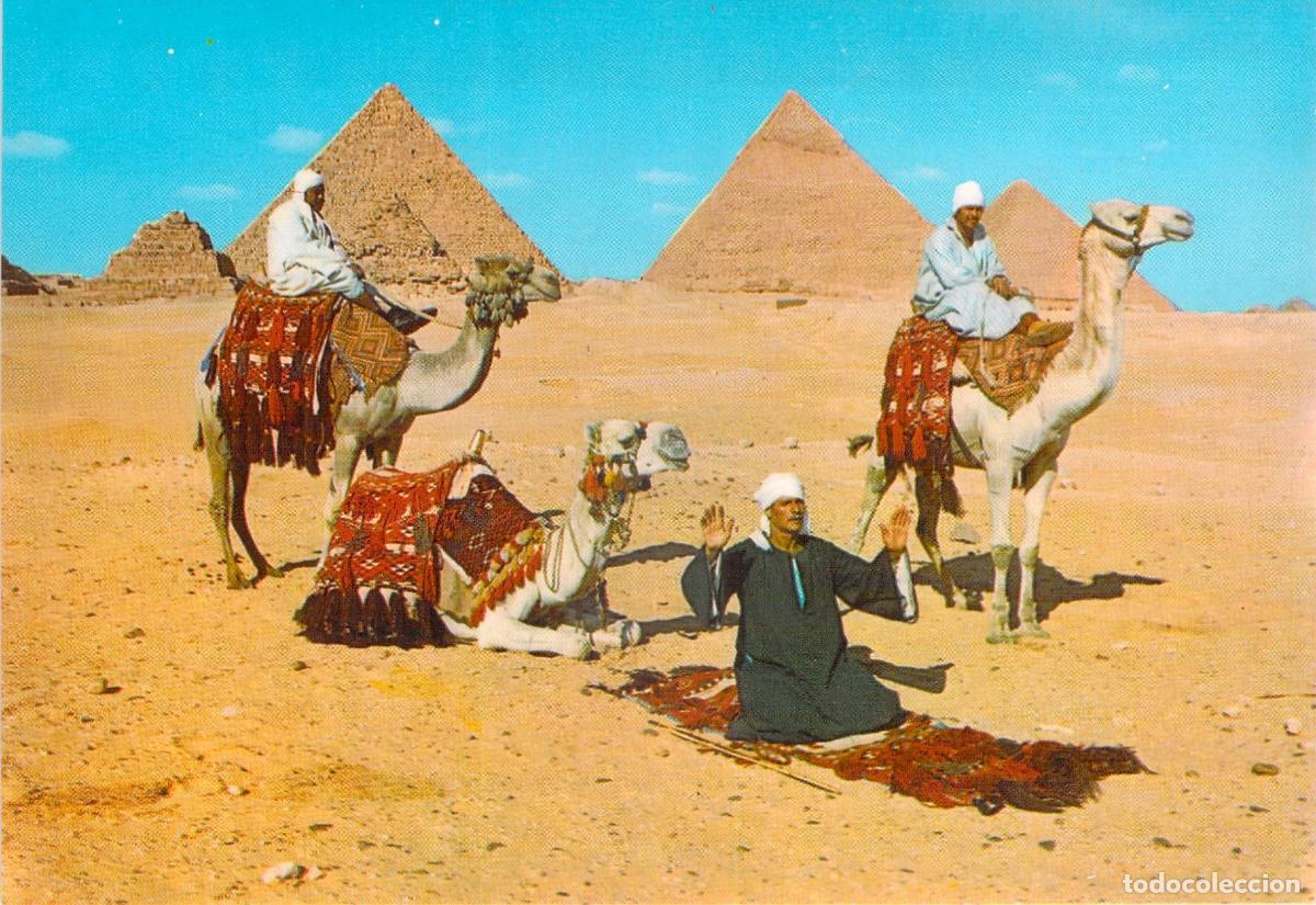 Postales: Postal de Egipto Jinetes de Camellos frente a las Pir&aacute;mides de Giza
