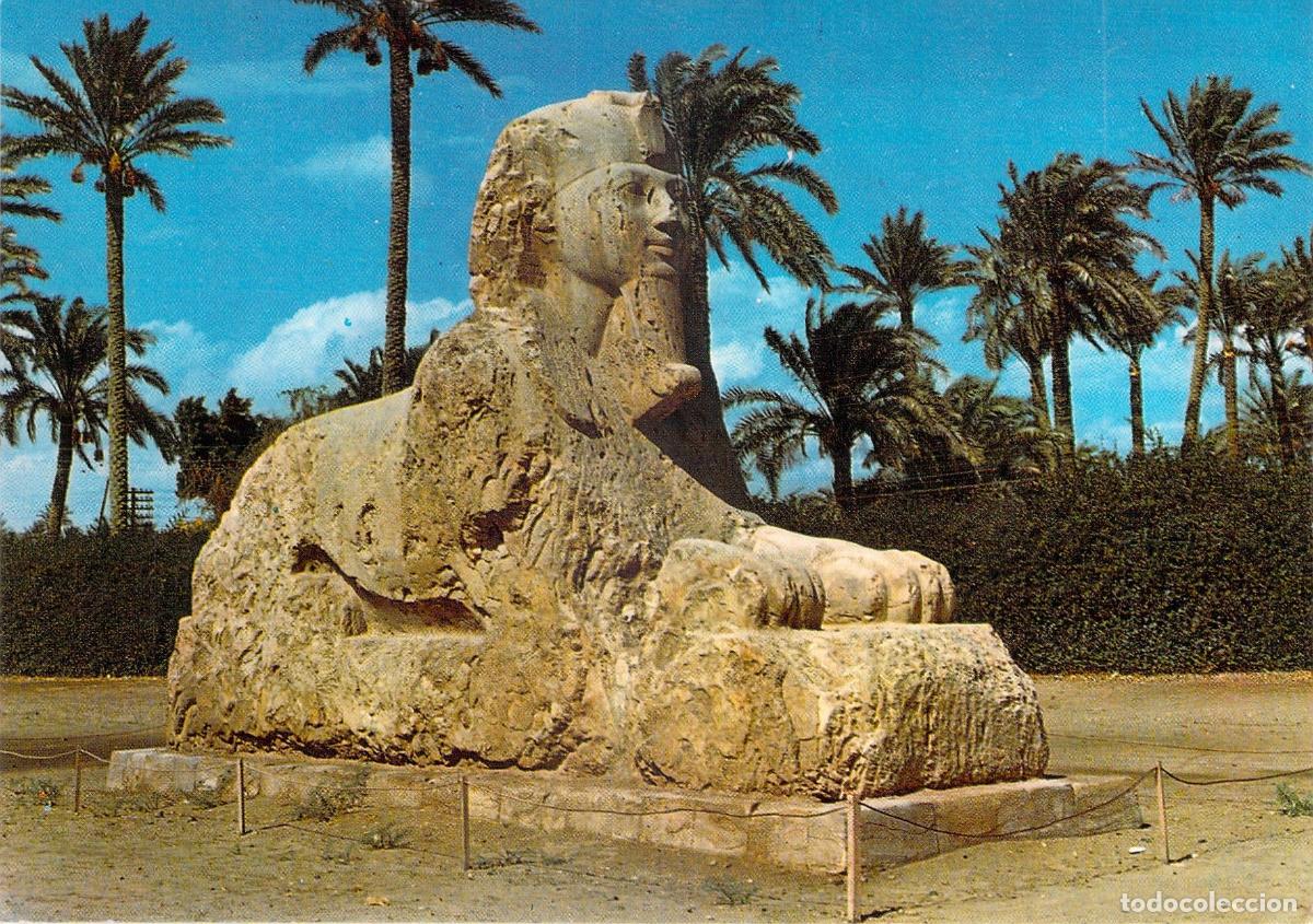 Postales: Postal de la Esfinge de Sakkara en Egipto con Palmeras