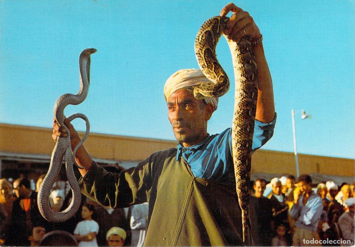 Postales: Postal de Encantador de Serpientes en la Plaza Djemaa El Fna, Marrakech
