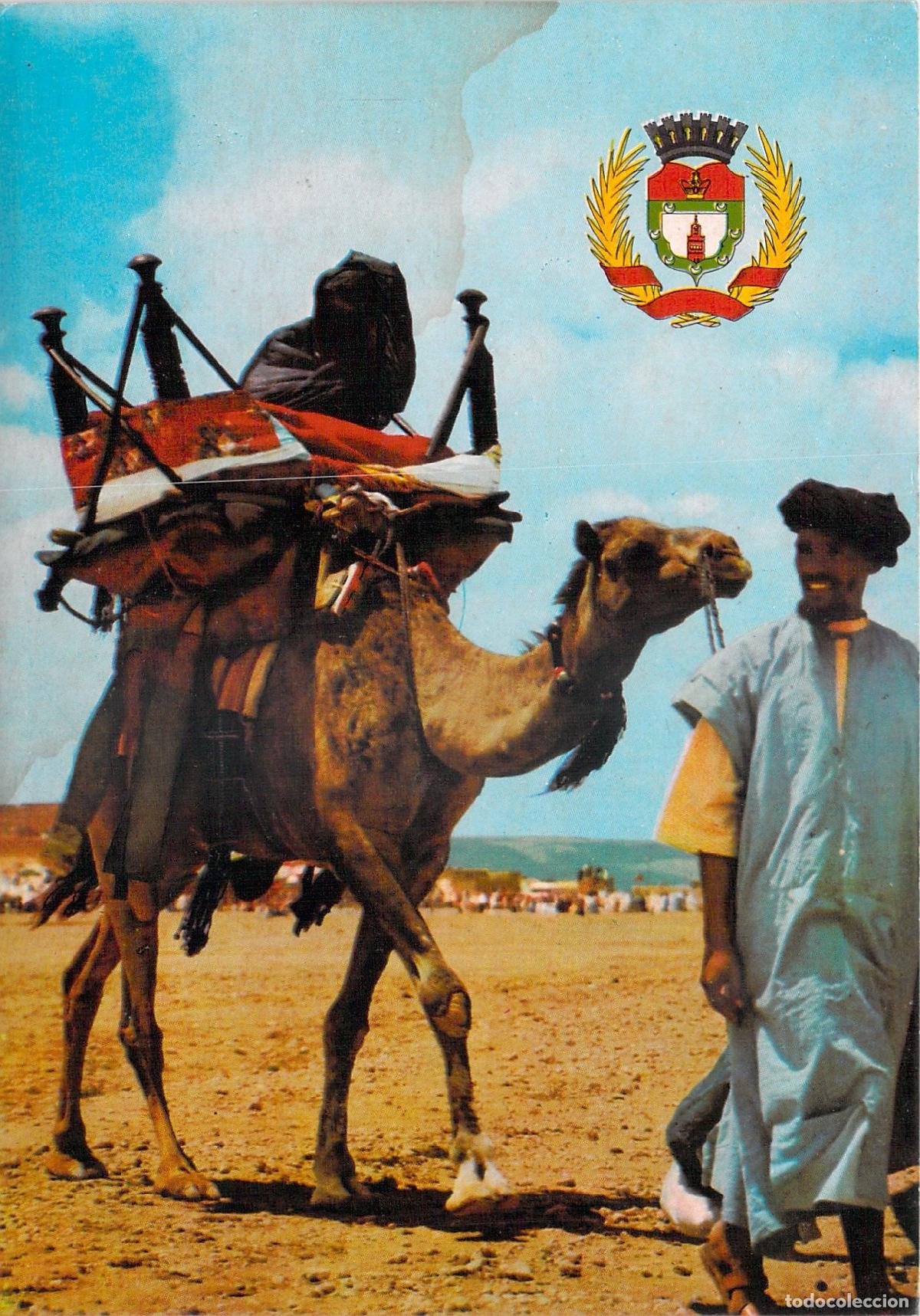 Postales: Postal de una Boda Tradicional en el Alto Atlas de Marruecos