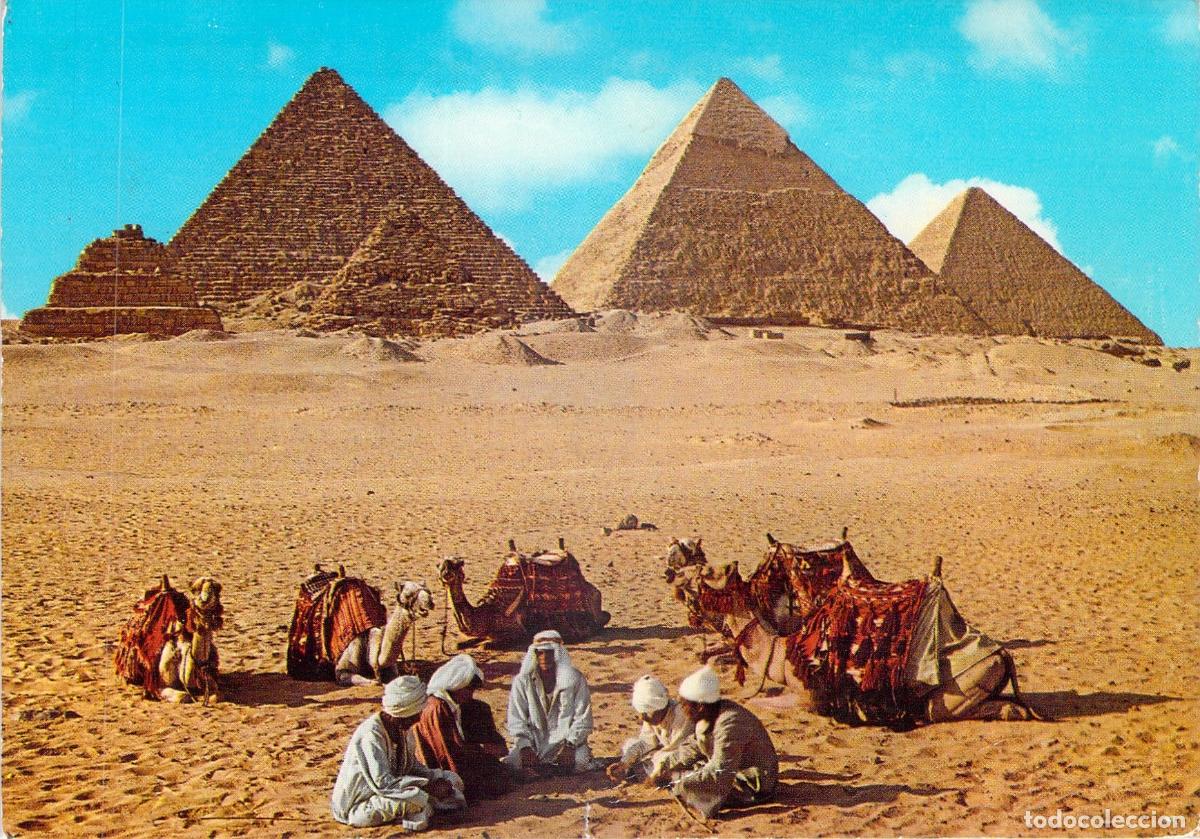 Postales: Postal de las Pir&aacute;mides de Giza con camellos en el desierto