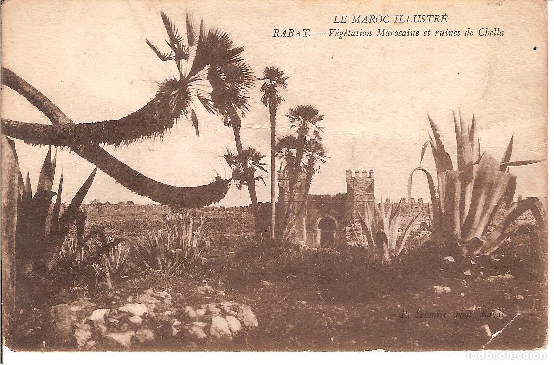 Postales: MAROC - RABAT - RUINES DE CHELLA