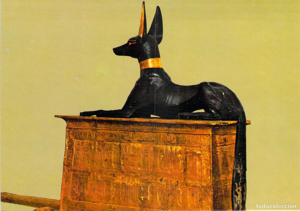 Postales: Postal del Museo Egipcio en El Cairo: Dios Anubis sobre cofre
