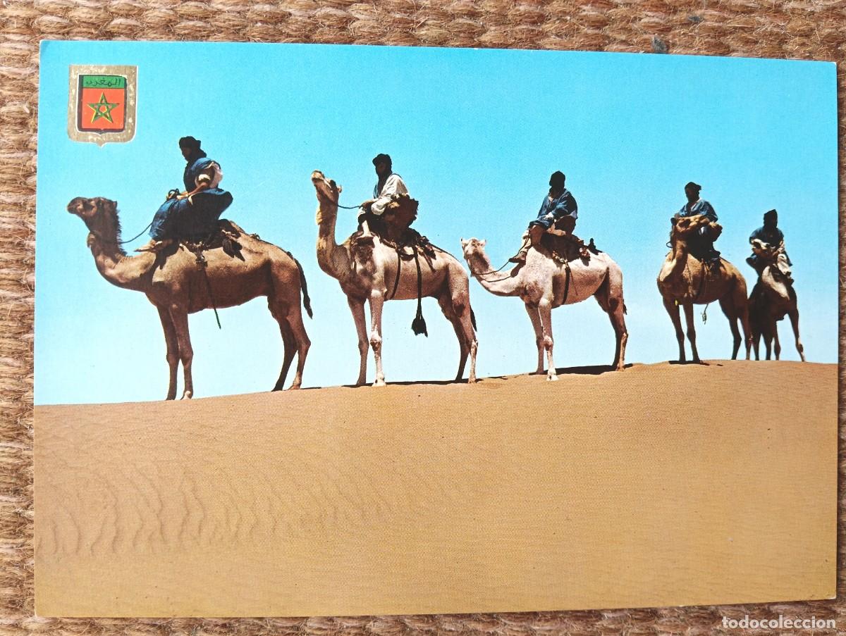 Postales: MARRUECOS - CARAVANA DE MAHARISTAS DE M'HAMID