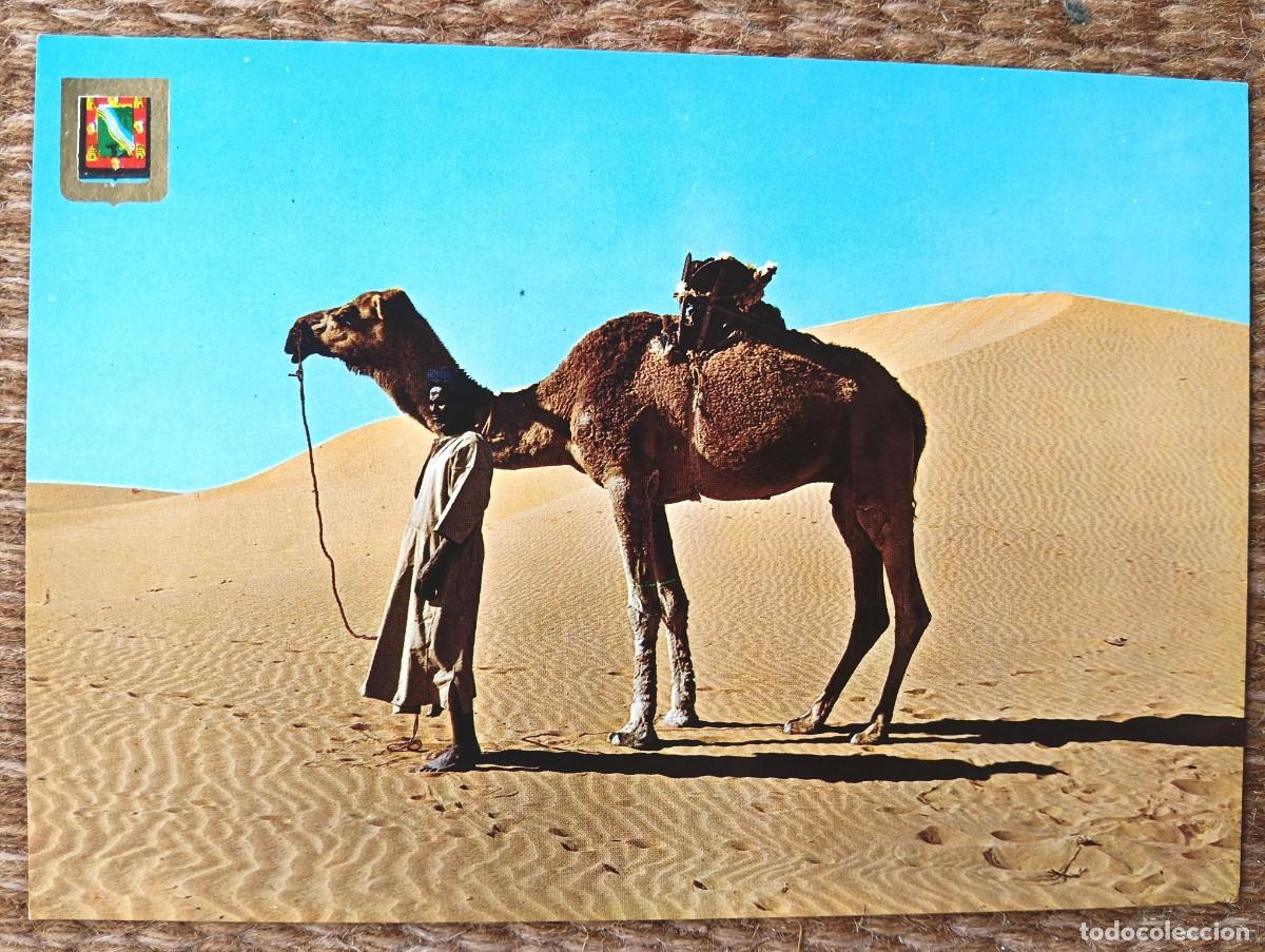 Postales: SAHARA ESPA&Ntilde;OL - AAIUN - SAHARAUI