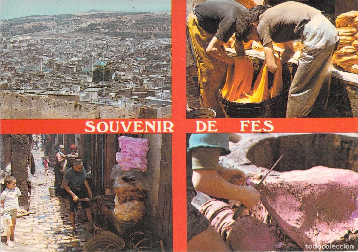 Postales: Postal de Fez, Marruecos, con vista general y tintoreros tradicionales