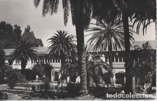 Postales: ARGELIA SIN ESCRIBIR GUELMA