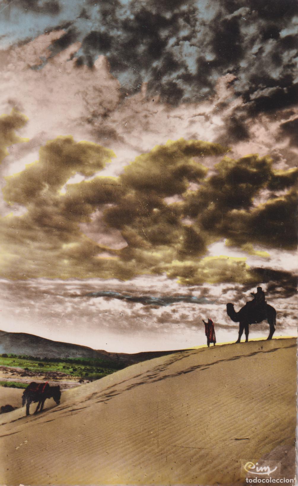 Postales: AFRICA - ALERTA DE TORMENTAS EN EL DESIERTO - CIM 363 CLICH&Eacute; R.PROUHO - ESCRITA