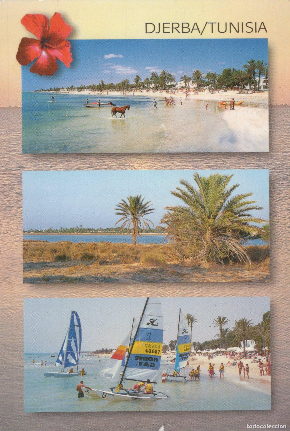 Postales: Tunisia Djerba Tunisie &Icirc;le de Plages Palmiers Activit&eacute;s Nautiques *YAA937