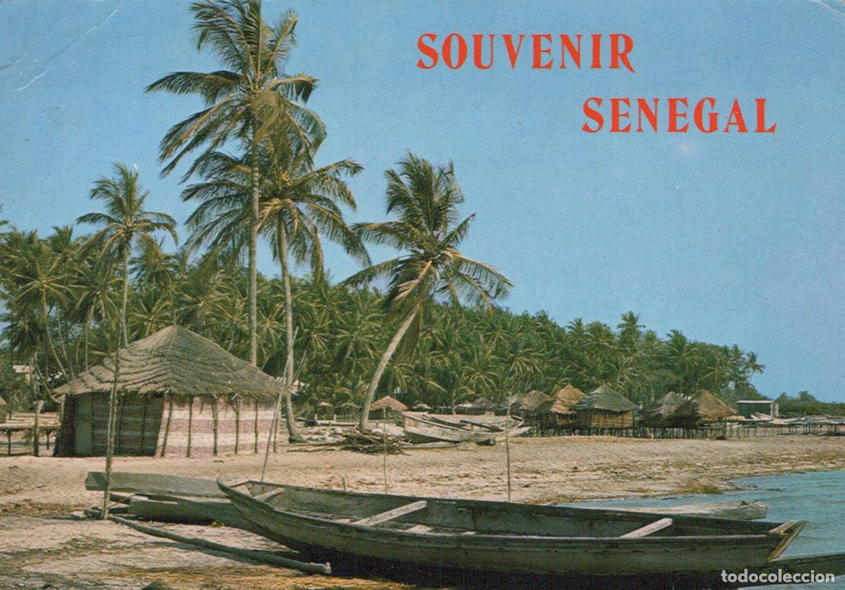 Postales: Senegal Dionnevar S&eacute;n&eacute;gal Plage Tropicale Palmiers Pirogues *YAB115