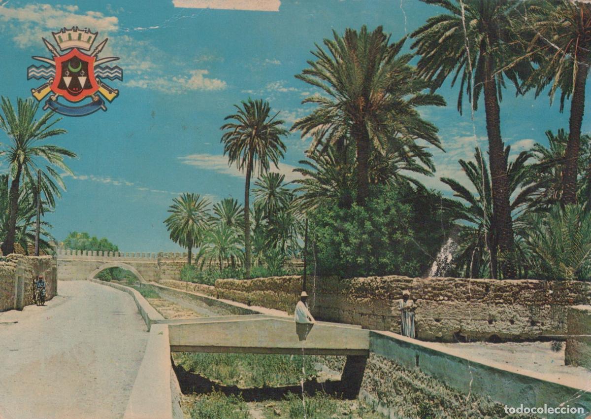 Postales: Morocco Tiznit Maroc Oasis Palmiers Pont Canal Unposted *YAF381