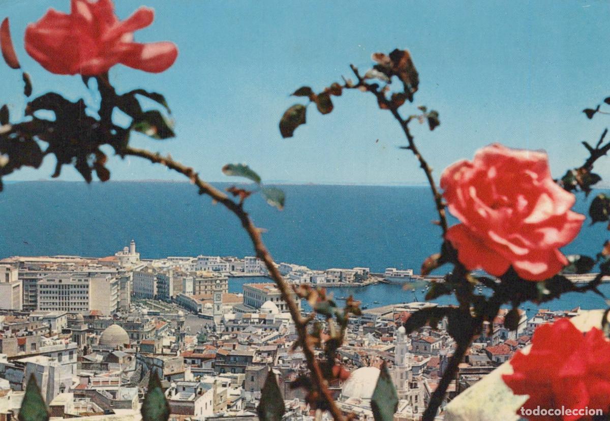 Postales: Algeria Alger Alg&eacute;rie Casbah Port M&eacute;diterran&eacute;en Vue Panoramique Avec *YAF885