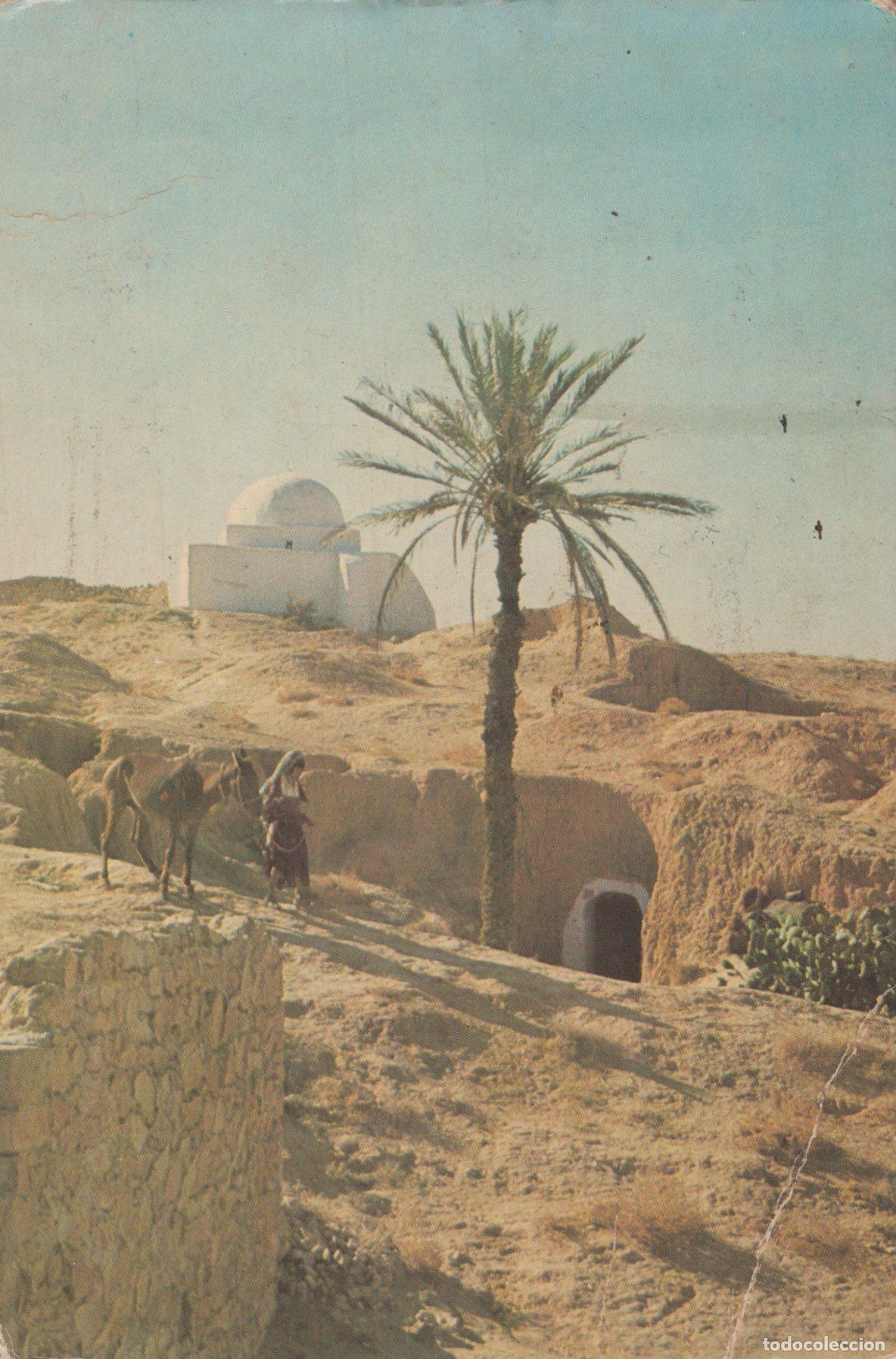 Cartes Postales: Algeria Desert Palm Oasis Scene *YAG059