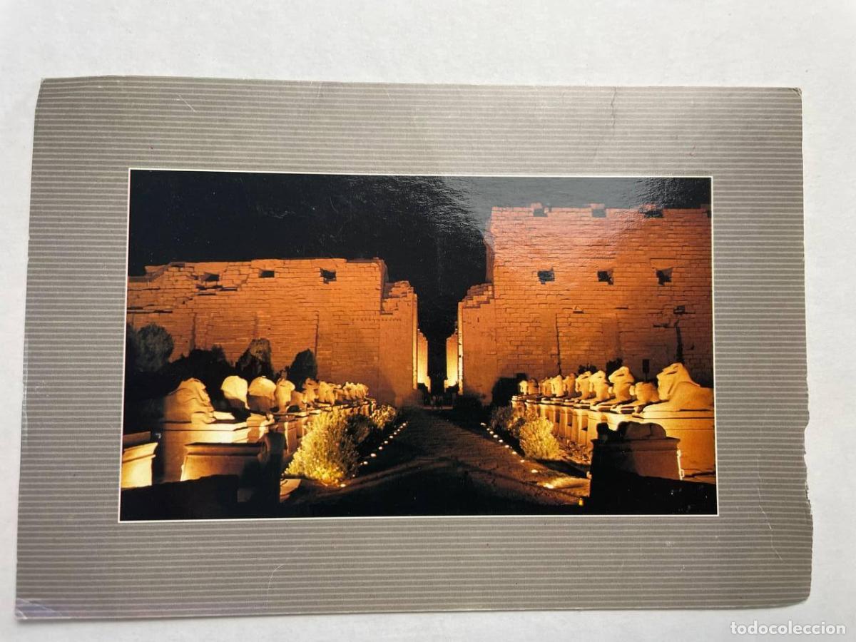 Cartes Postales: Egypt Luxor Karnak Temple Sound Light Avenue of Sphinxes Night *YAG574