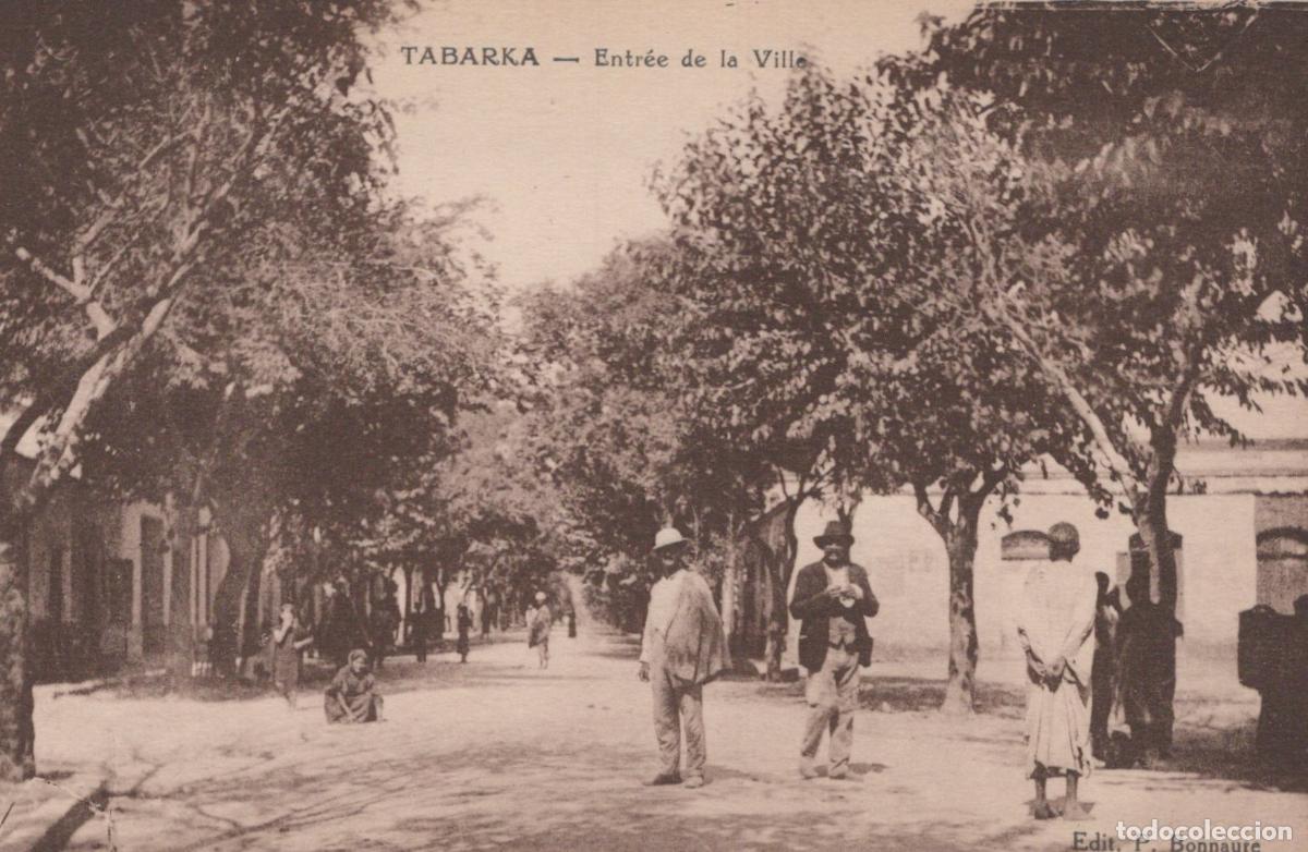 Postales: Tabarka Tunisia Entrance to City Tree-Lined Street with People *YAG712
