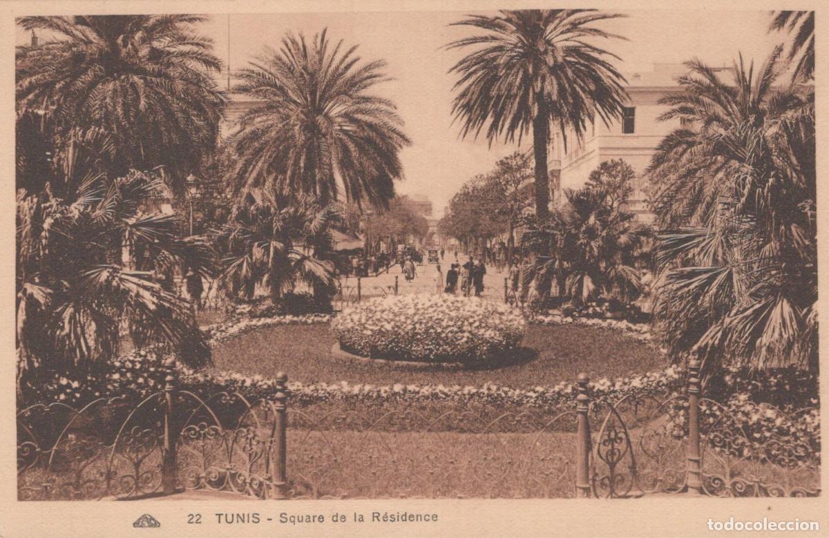 Postales: Tunis Square de la R&eacute;sidence Garden with Palm Trees *YAG724