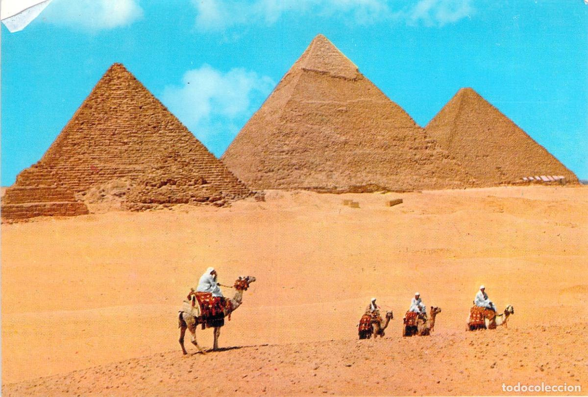 Postales: Postal de las Pir&aacute;mides de Giza con camellos