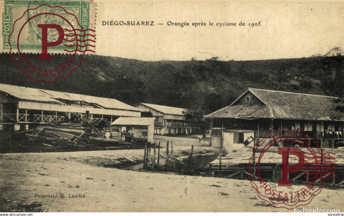Postales: AFRICA. MADAGASCAR. DIEGO SUAREZ ORANGEA APRES LE CYCLONE 1905