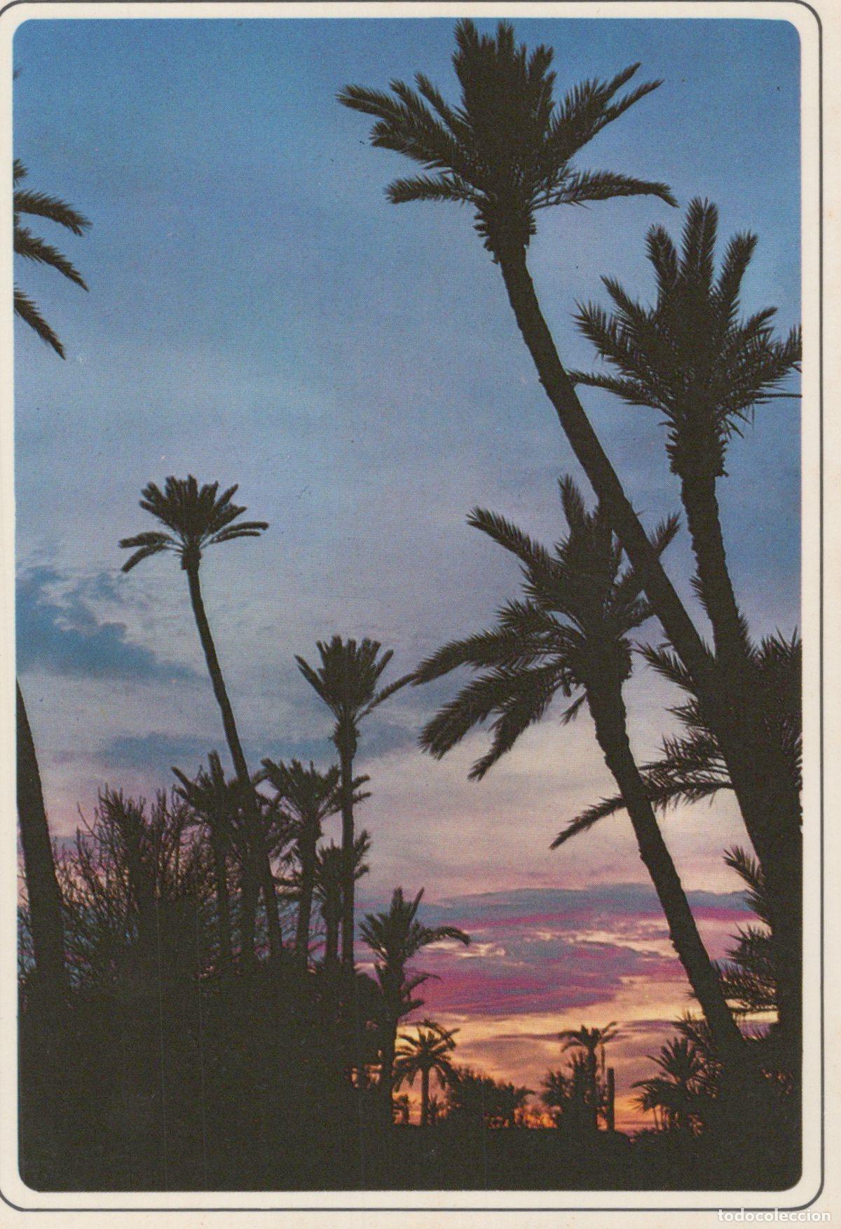 Postales: Morocco Marrakech Morocco Sunset Landscape Posted *YAK712