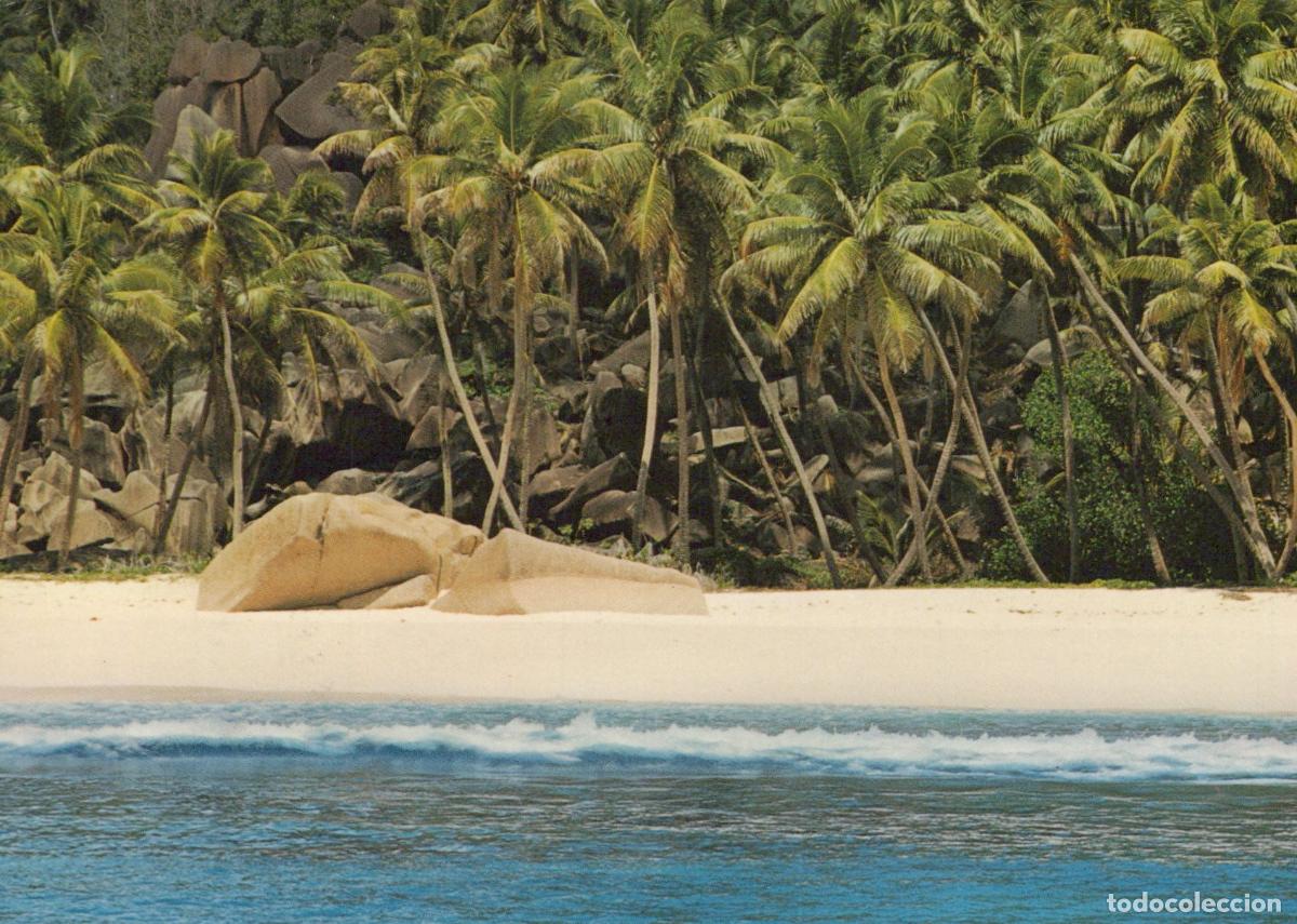 Postales: Seychelles Grande Anse Beach View Palm Trees Ocean Landscape *YAM343