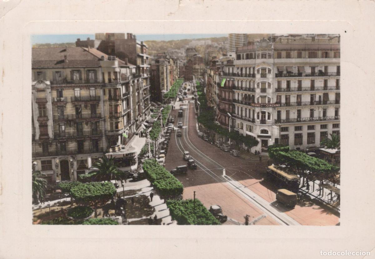 Postales: Algeria Algiers Rue Michelet Street Scene With Trams and Cars *YAM894
