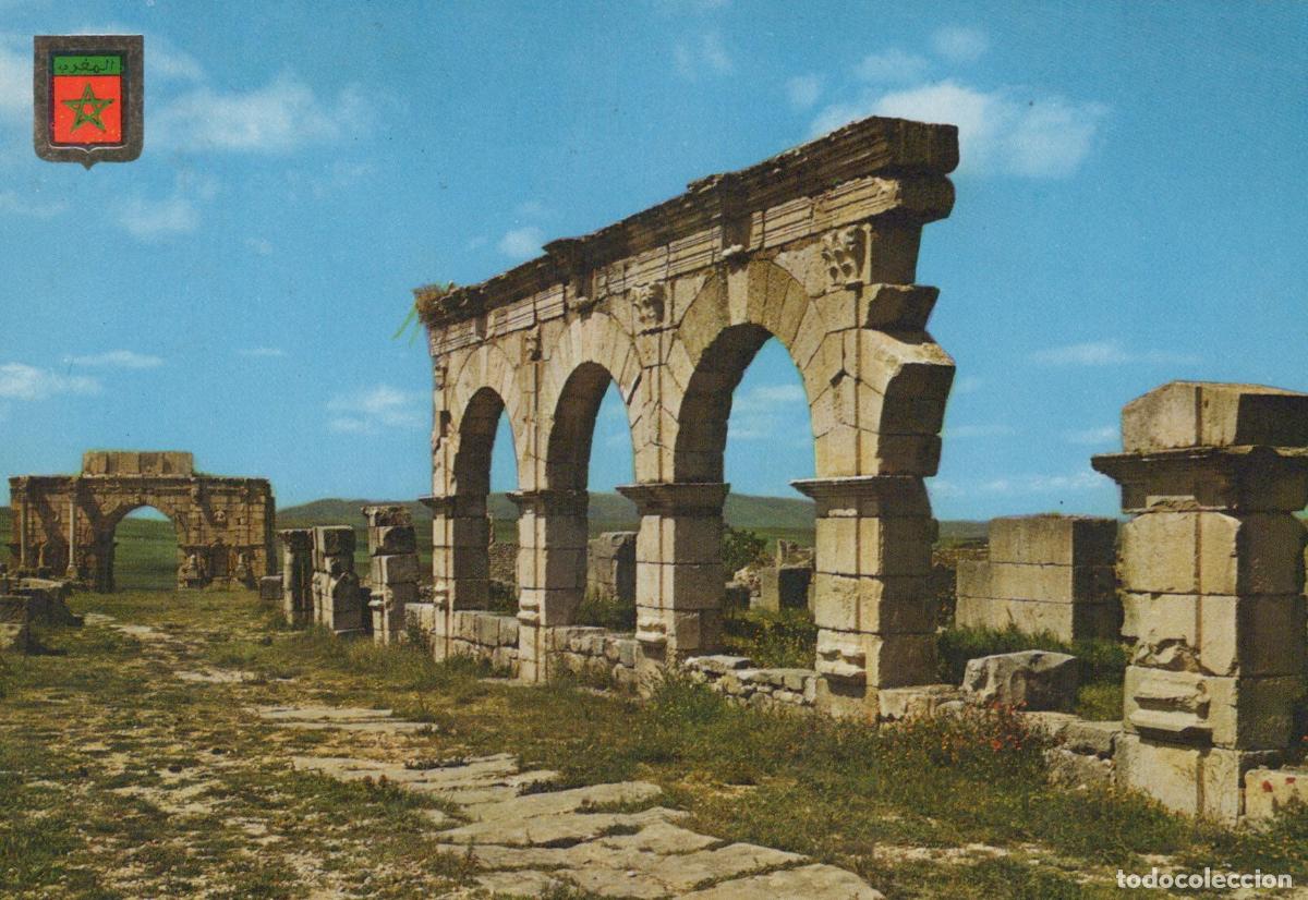 Postales: Morocco Volubilis Roman Ruins of the Forum Ancient City Landscape *YAN259