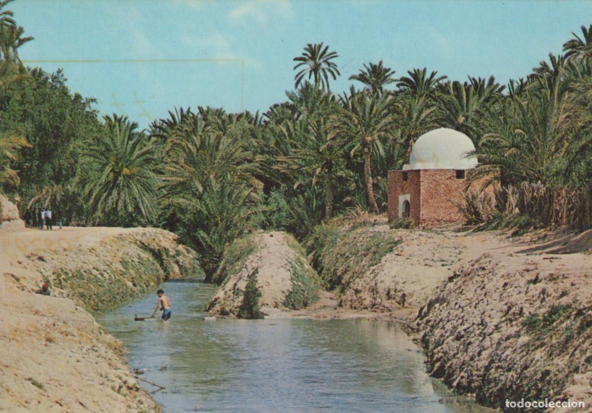 Postais: Tunisia Tozeur Oasis River and Marabout *YAP664
